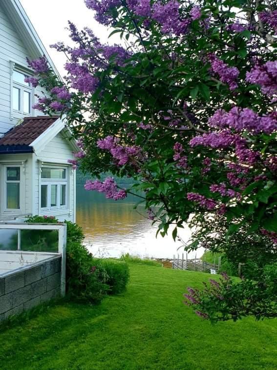 Kraemarvika Lodge Tromso Exterior photo